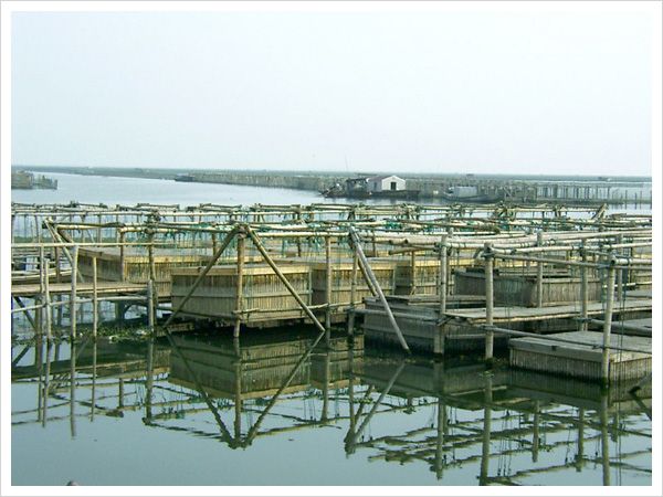 養殖基地