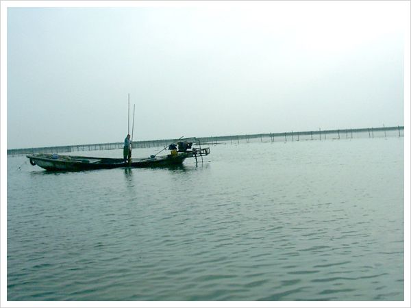 養殖基地