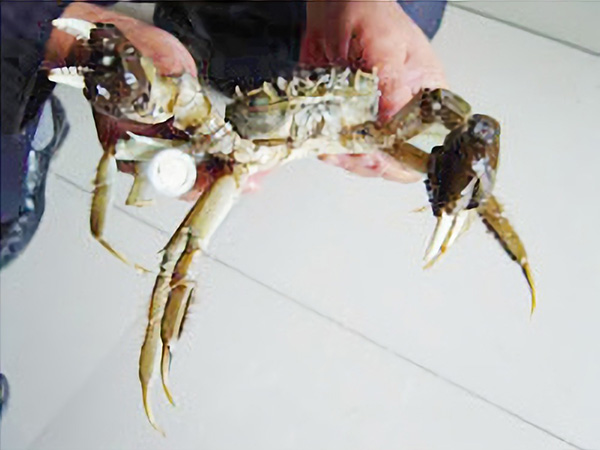 特色産品