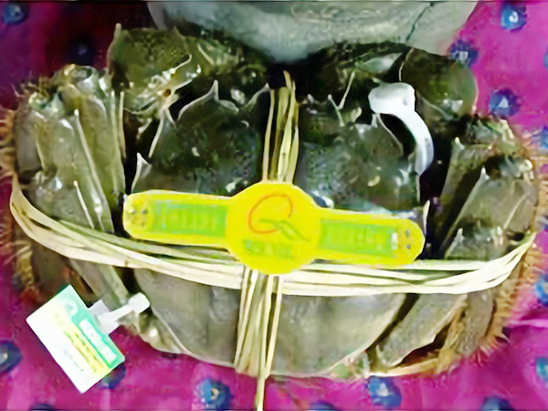 特色産品